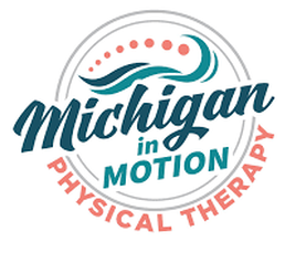 Michigan in Motion Physical Therapy